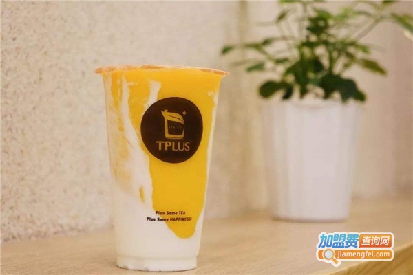 tplus茶家加盟费