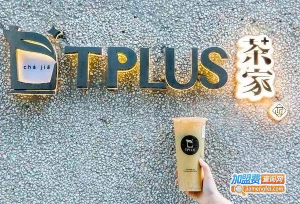 tplus茶家加盟费