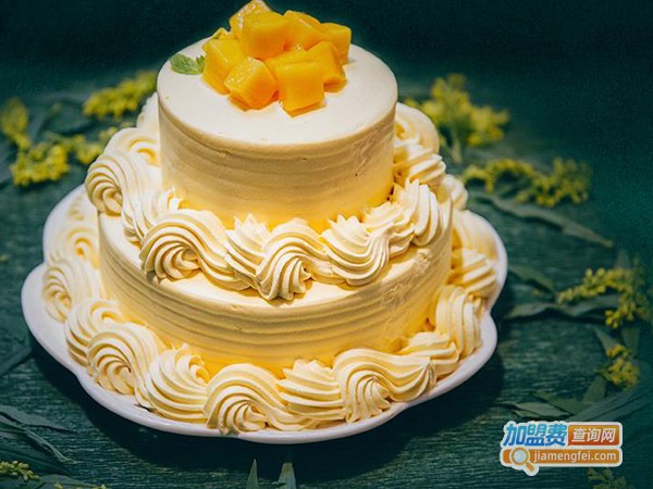 加盟a里蛋糕店多少钱