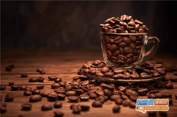 咖啡之翼加盟费