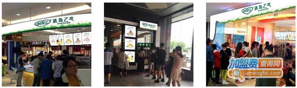 冰岛之恋冰淇淋店加盟费