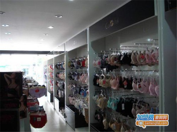 多彩多姿内衣店加盟费