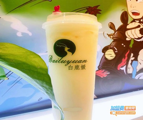 白鹿媛奶茶加盟费