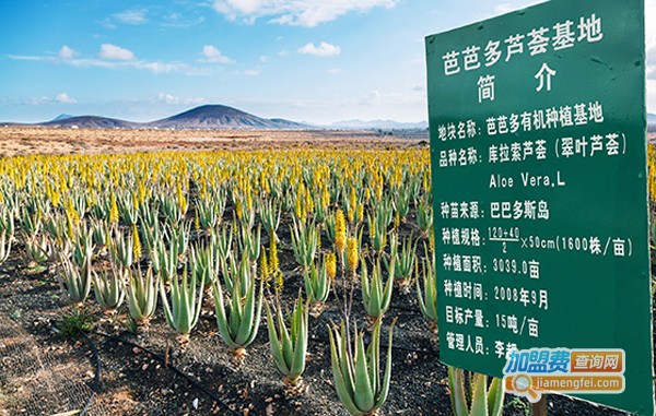 芭芭多加盟