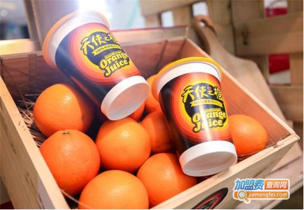 天使之橙加盟费多少钱