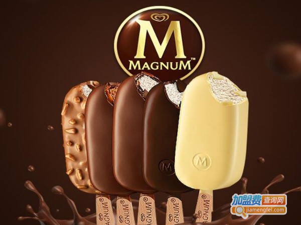 梦龙冰淇淋加盟费多少钱