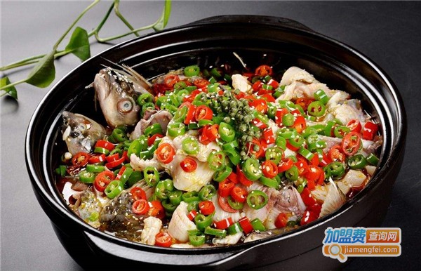 渔遇上鱼加盟费多少钱