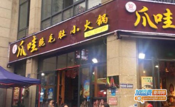 爪哇脆毛肚小火锅加盟费