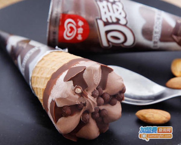 和路雪冰淇淋加盟费多少钱