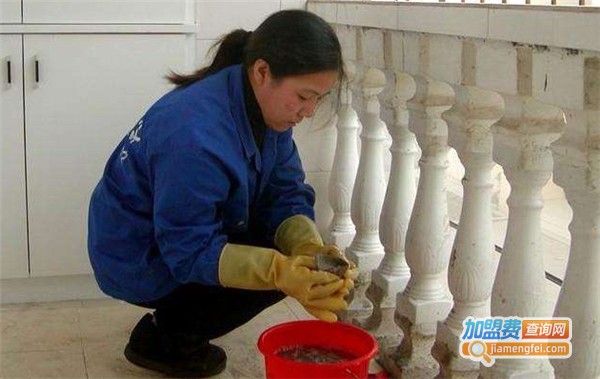 无尘珠家政加盟费