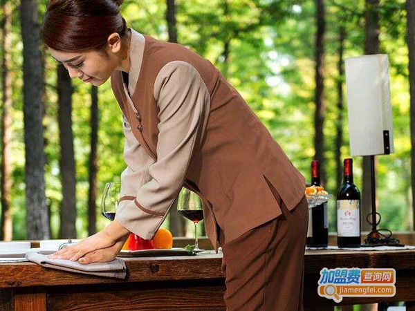 云智慧家政加盟费