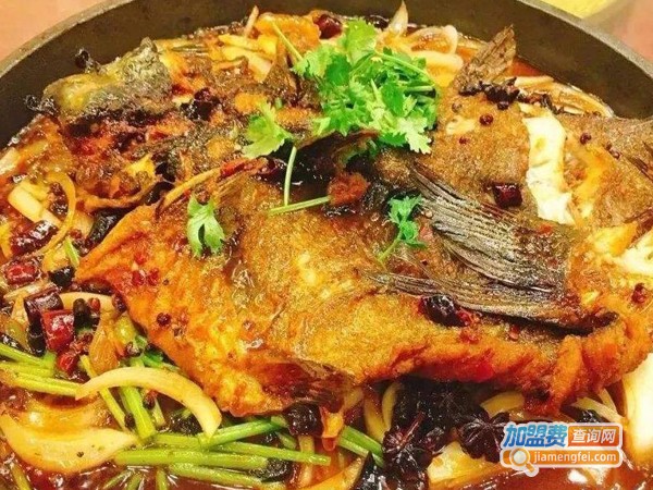 老板恋上鱼加盟