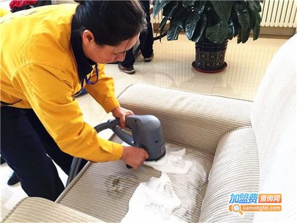 胖大嫂家政加盟费