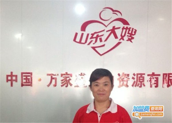 山东大嫂家政加盟费