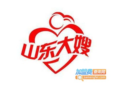 山东大嫂家政加盟