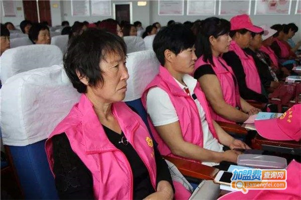 山东大姐家政加盟费