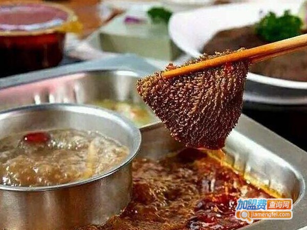 鼎火锅加盟费多少钱