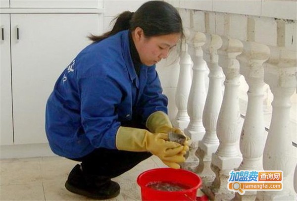 豆儿家政加盟费