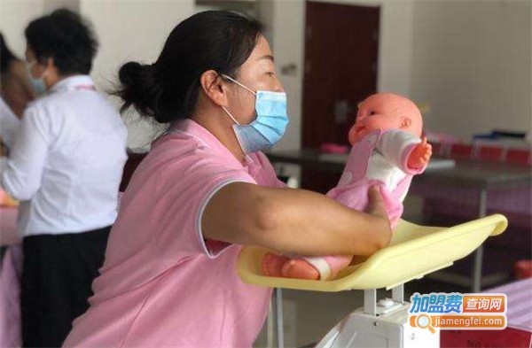 瓷成家政加盟费