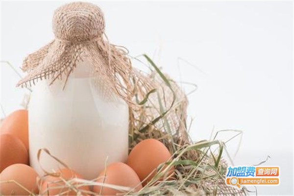 牛奶同学加盟费