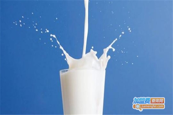 牛奶同学加盟费