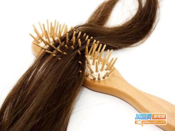 养发脱发加盟费