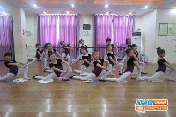 舞蹈机构加盟费