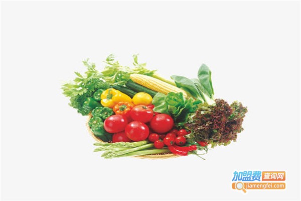 蔬菜生鲜超市加盟