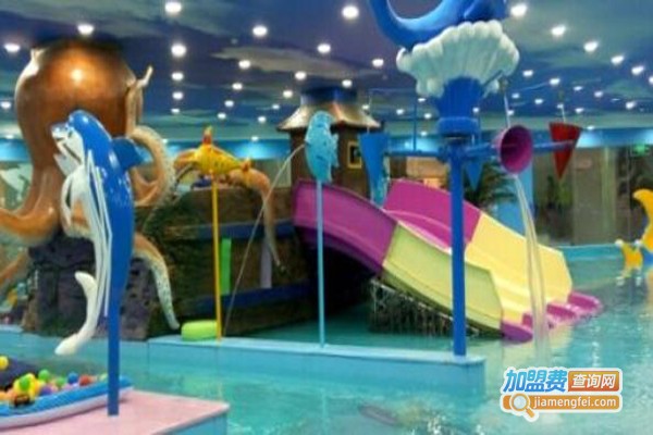 小蝌蚪水上主题乐园加盟费