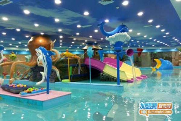 小蝌蚪水上主题乐园加盟费