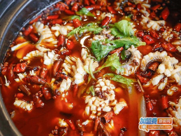 搞一锅鱼加盟费