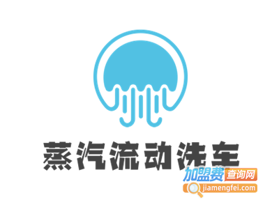 蒸汽流动洗车