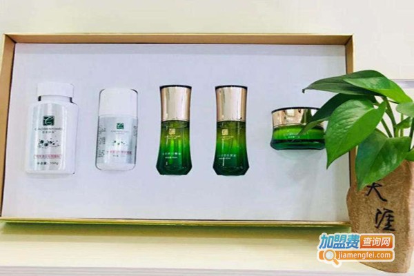 草本伊美加盟费