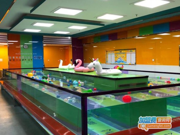 亲贝湾游泳馆加盟费