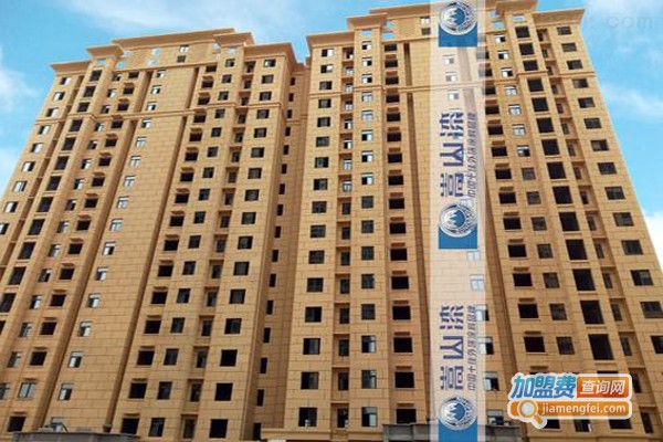 嵩山真石漆加盟费