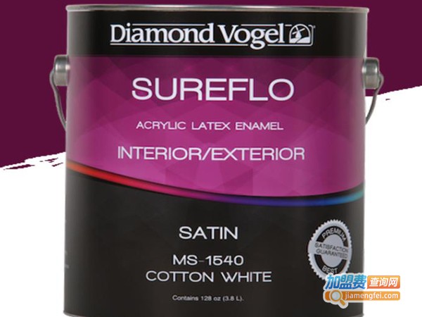 美国钻石漆加盟费