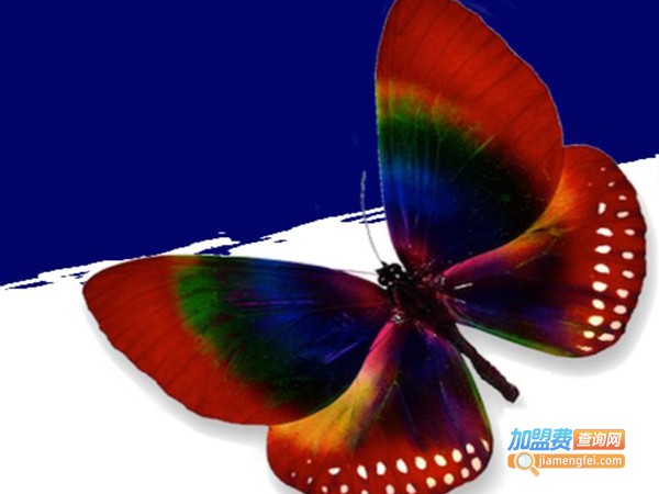 美国钻石漆加盟费