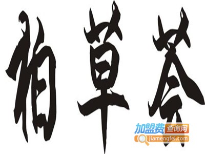 柏草荟生发养发馆