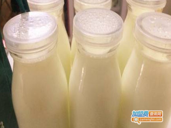 壮壮鲜奶吧加盟费