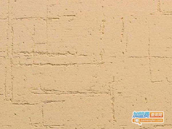 特工组涂料漆
