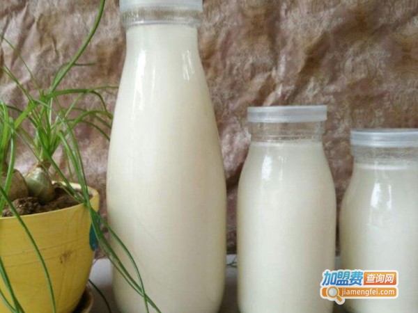 壮壮鲜奶吧加盟费