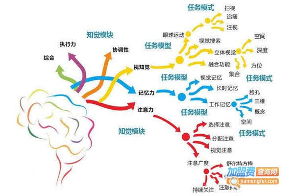 注意力培训加盟费