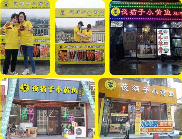 夜猫子小黄鱼加盟费