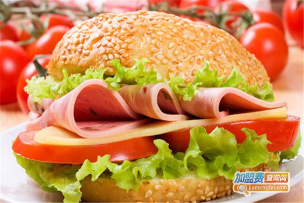 麦多乐炸鸡汉堡加盟费