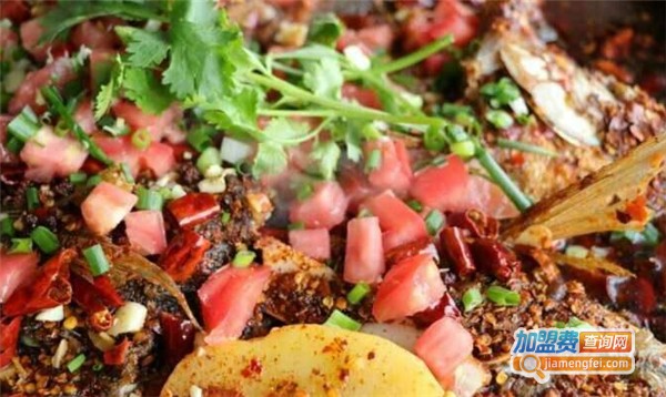 鑫炉烤鱼加盟费