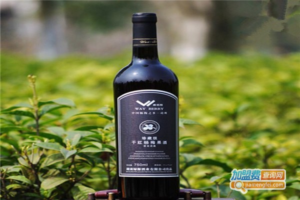 果酒代理加盟费