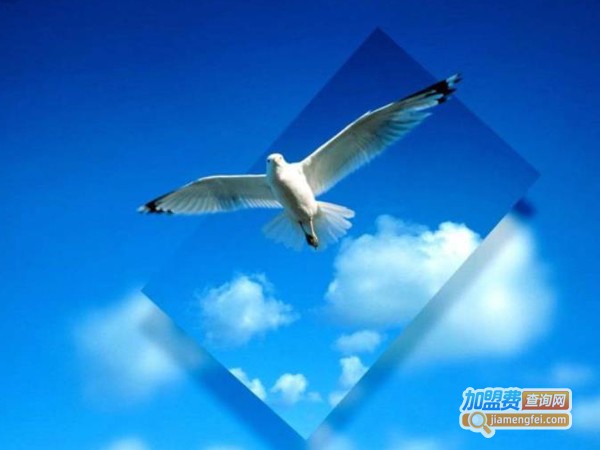 走向未来教育机构加盟