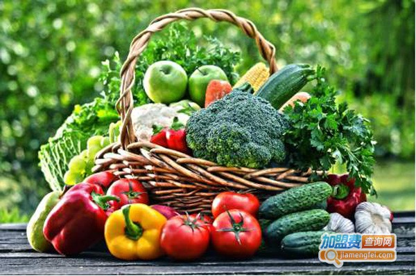 美团买菜加盟费