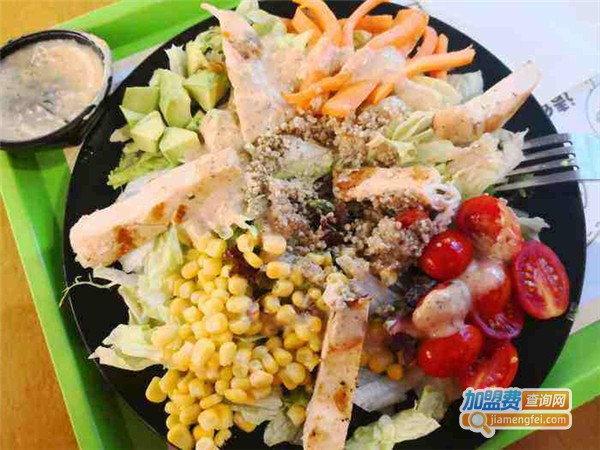 叉子汤勺健康轻食沙拉加盟费