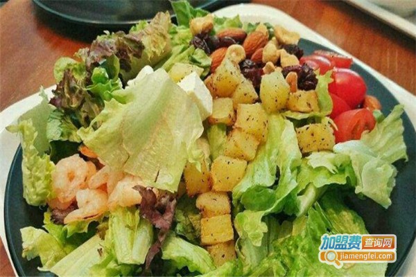 沙界萌新加盟费